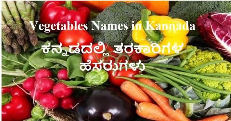 vegetables-names-in-kannada-learn-english-hindi-kannada