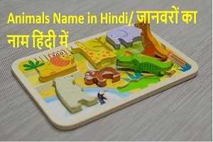 Animals Name in Hindi/ जानवरों का नाम हिंदी में