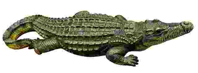 Crocodile-Magarmach-Animals name in Hindi