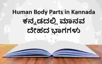 Human Body Parts in Kannada/ ಕನ್ನಡದಲ್ಲಿ ಮಾನವ ದೇಹದ ಭಾಗಗಳು
