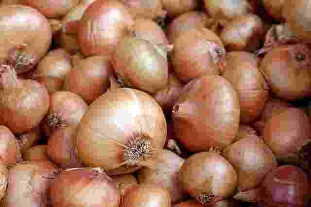 onion-Pyaz