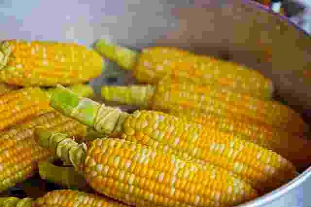 Vegetables Names in Hindi-Corn-Makka