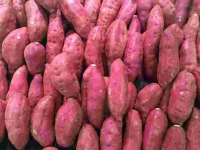 Sweet potato