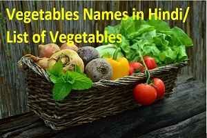 Vegetables Names in Hindi/ List of Vegetables