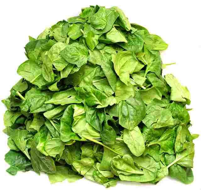 Spinach In Kannada 